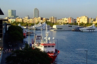 DSCF3069