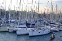 DSCF3081