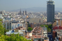 DSCF3131