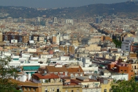 DSCF3135