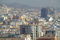 DSCF3138