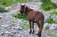 DSCF8544