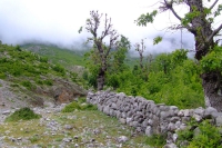 DSCF8549