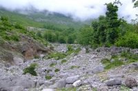 DSCF8551