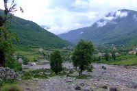 DSCF8556