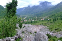 DSCF8557