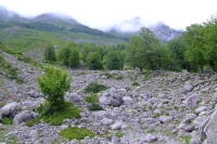 DSCF8559
