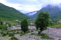 DSCF8561