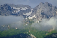 DSCF8564