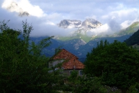 DSCF8571