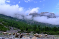 DSCF8582