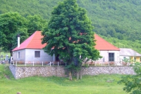 DSCF8591