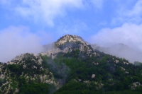 DSCF8593