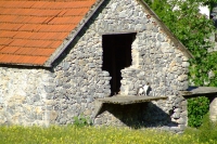 DSCF8609