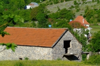 DSCF8610