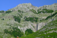 DSCF8611