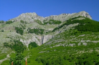 DSCF8612