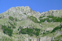 DSCF8613