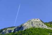 DSCF8614