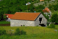 DSCF8616