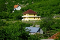 DSCF8617