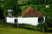 DSCF8618
