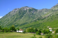 DSCF8619