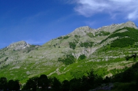 DSCF8625