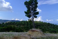 DSCF0754