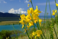 DSCF0760