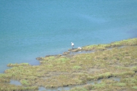 DSCF0762