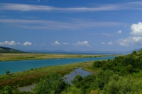 DSCF0768