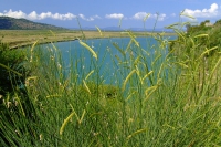 DSCF0778