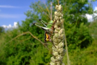 DSCF0784