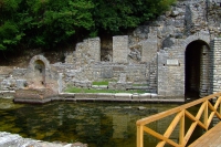 DSCF0806