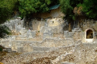 DSCF0828