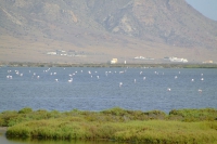 Cabo de Gata-Nijar Natural Park