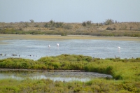 Cabo de Gata-Nijar Natural Park