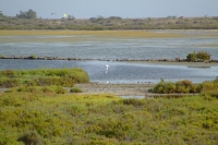 Cabo de Gata-Nijar Natural Park