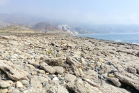 Cabo de Gata-Nijar Natural Park