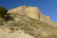 DSCF2746