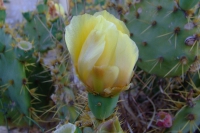 DSCF2751