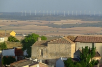 DSCF2782