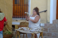 DSCF2806