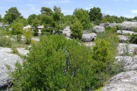 Ciudad Encantada, Spain