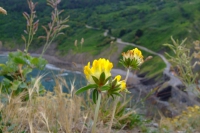 San Juan de Gaztelugatxe