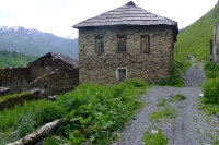 DSCF2768