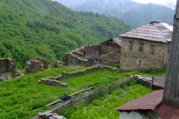 DSCF2783