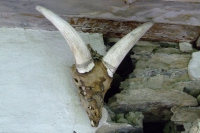 DSCF2785