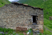 DSCF2786